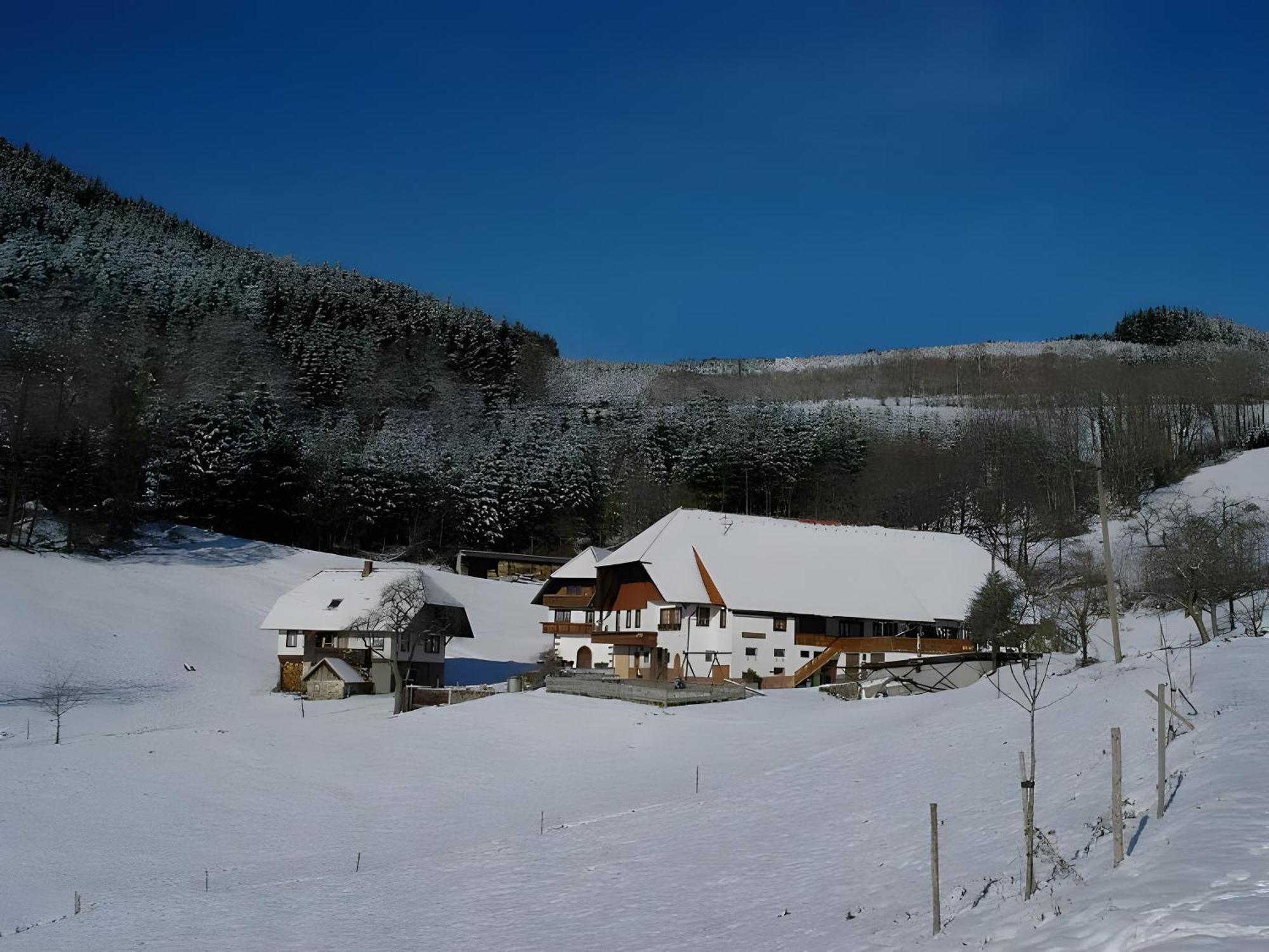 Apartmán Uhlhof Neuenbach Exteriér fotografie